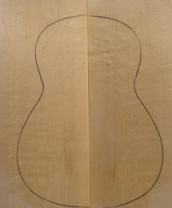 Tapa Abeto Garra de Oso (única)