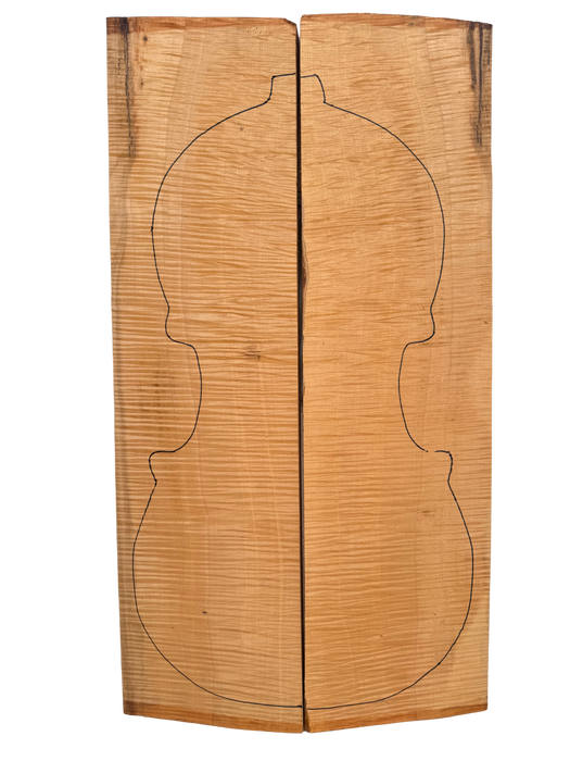 Fondo Arce Rizado Violonchelo Especial