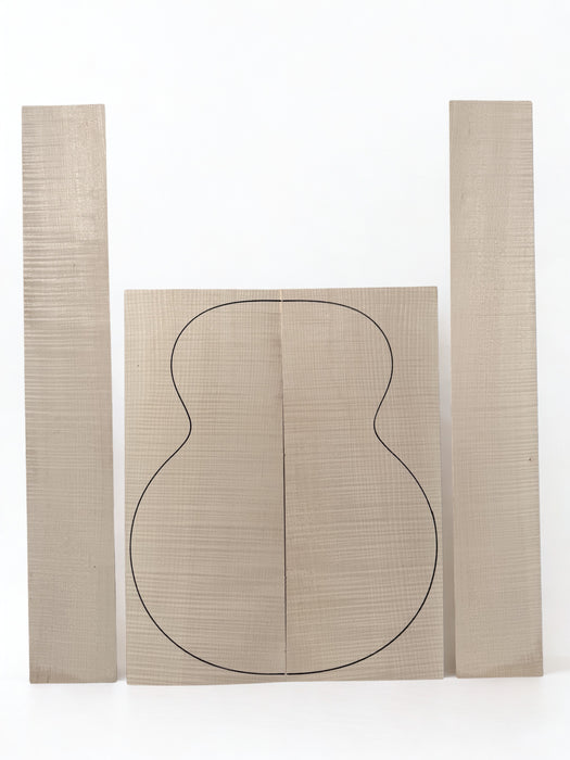 Set Acustica Arce flameado Master